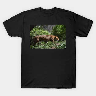 Jaguar T-Shirt